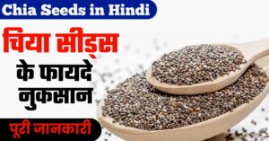 Chia Seeds in Hindi, चिया सीड्स क्या होता है, चिया सीड्स के फायदे और नुकसान, चिया के बीज पतंजलि कीमत