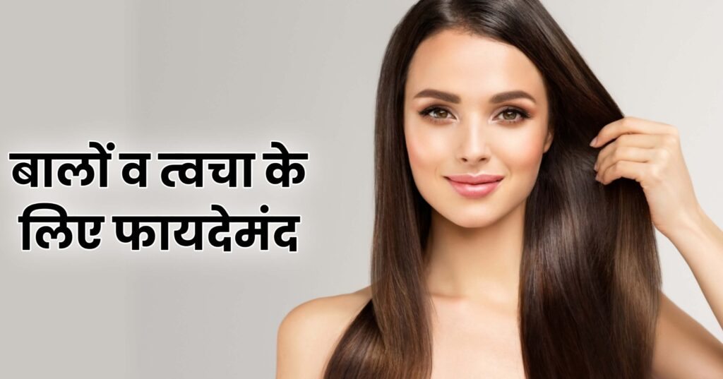 बालों व त्वचा के लिए chia फायदेमंद, chia seeds, chia seeds in hindi  chia seeds for hair, chia seeds benefits for skin in hindi