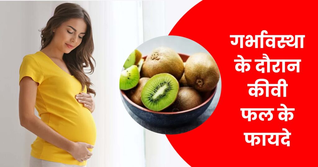 गर्भावस्था के दौरान कीवी फल के फायदे, pregnancy me kiwi khane ke fayde, kiwi ke fayde pregnancy me, kiwi ke fayde in hindi